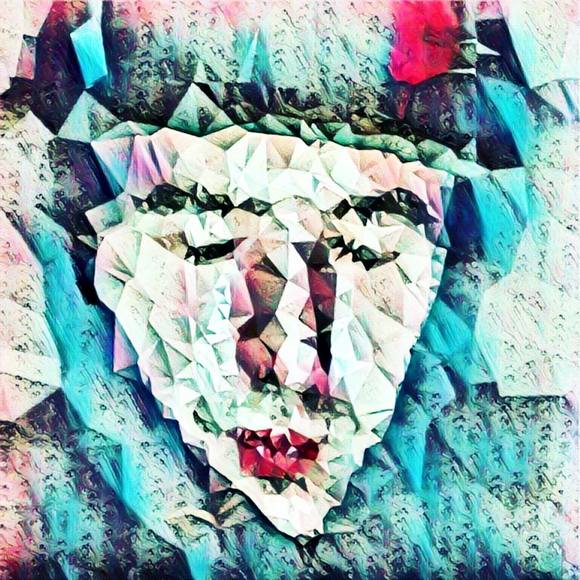 Meet your Posher, Steven - Picture 1 of 1